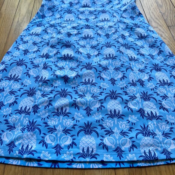 J. McLaughlin Size XS Blue Rue Pineapple Print Sleeveless Split Neck Shift Dress - Picture 5 of 13